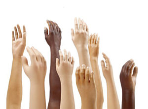 Upper and Lower Limb Prosthetics | Upper Limb | Prosthetic Gloves