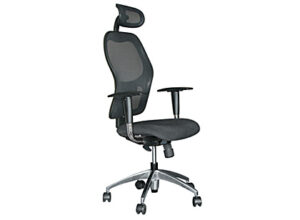 Ergonomics | Back Support & Chairs | Ergo Chair